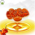 Seabuckthorn Fruit Oil Powder